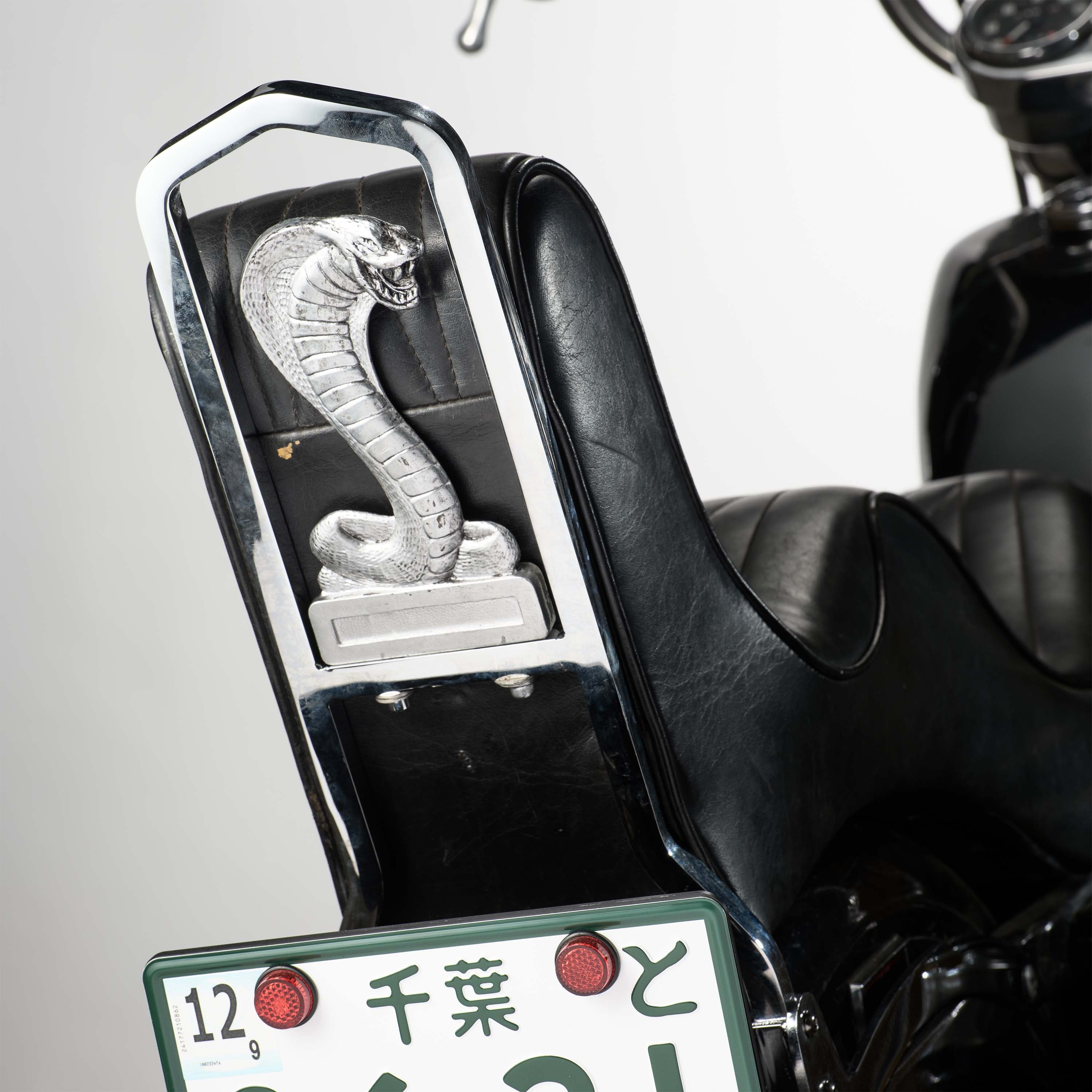 COBRA SISSY BAR・INSERTS – TT AND CO GLOBAL